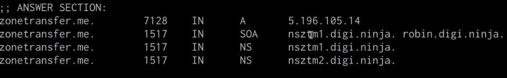 Dig utility DNS record enumeration output